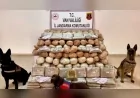 Van’da Jandarma Operasyonunda Uyuşturucu Sevkiyatına Darbe 333 Kilogram Skunk Ele Geçirildi 2 Şüpheli Yakalandı