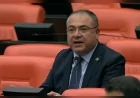 CHP Aydın Milletvekili Evrim Karakoz: “Zeytin üreticisi zeytinini dalında bırakma noktasına geldi”