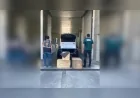 Ticaret Bakanlığı 4 CITES Kapsamındaki Yaban Hayvanını Edirne Hamzabeyli Gümrük Kapısı'nda Kaçakçılardan Kurtardı