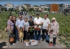 DOĞANLAR KENT BOSTANI'NDA HASAT HEYECANI