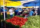 Yalova Belediyesi, Nedret Ayaz Kapalı Pazar Yeri’nde sebze ve meyvelere yönelik künye denetimi gerçekleştirdi