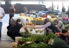 Yenimahalle Belediye Başkanı Fethi Yaşar: “Hem üreten vatandaşımız kazanıyor hem de halkımız doğal ürünlere ulaşıyor”