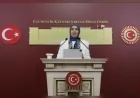 DEVA Partisi Genel Başkan Yardımcısı Elif Esen: “Toprağı yaşatmadan nüfusu büyütemezsiniz”