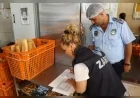 Yalova Belediyesi Zabıta Ekipleri Kent Genelindeki Fırınlarda Hijyen ve Mevzuat Denetimi Gerçekleştirdi