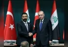 CUMHURBAŞKANI RECEP TAYYİP ERDOĞAN: “BÖLGEMİZİN KALKINMA, REFAH, HUZUR VE İSTİKRARLA ANILMASI İÇİN ÇABA GÖSTERİYORUZ”
