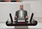 DEVA Partisi Genel Başkan Yardımcısı Elif Esen: “Devlet kırsaldan çekildi, bedelini Türkiye ödüyor”