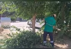 Efeler Belediyesi Mimar Sinan Mahallesi'ndeki Parklarda Kapsamlı Bakım Çalışmalarını Sürdürüyor