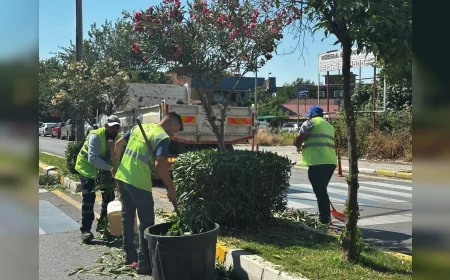 Aydın Büyükşehir Belediye Başkanı Özlem Çerçioğlu: “Vatandaşlarımızı Hizmet Ve Çalışmalarla Buluşturmaya Devam Ediyoruz”