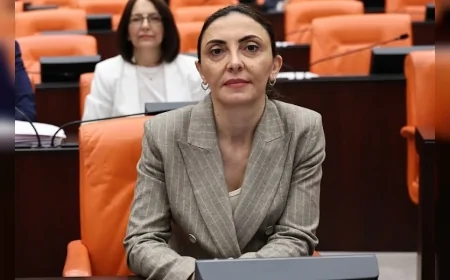 Altaca Kayışoğlu: "Yurt Dışındaki Vatandaşlar Ehliyet Dönüşümünde Mağdur Ediliyor"