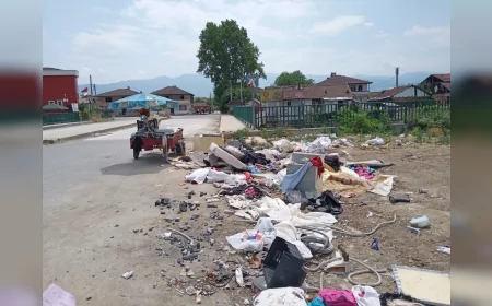 Düzce Belediyesi Zabıta Ekipleri Çevreyi Kirleten Şahsa İdari Para Cezası Uyguladı