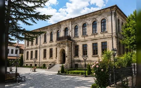 Afyonkarahisar Belediyesi Tarihi Sarmaşıklı Sanat Okulu Binasının Korunarak Restore Edileceğini Açıkladı