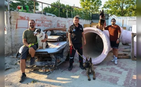 MALTEPE BELEDİYESİ AFAD KOORDİNASYONUNDA PATİLİ KAHRAMANLARI KÖPEKLİ ARAMA KURTARMA EĞİTİMLERİYLE AFETLERE HAZIRLIYOR