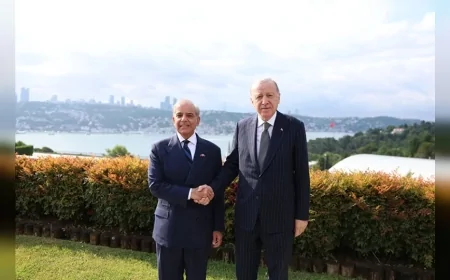 Cumhurbaşkanı Recep Tayyip Erdoğan: “Bölgemizde barış, istikrar ve refah için kardeş ülkelerle dayanışmayı sürdüreceğiz”