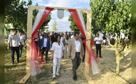 Ankara Büyükşehir Belediyesi ATA Çiftliği’nde büyükelçiler ilk dut hasadına katıldı, tarım ve yeşil alan vizyonu tanıtıldı