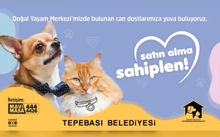 Tepebaşı Belediye Başkanı Dt. Ahmet Ataç: “Merkezimizi ziyaret eden herkes görecektir ki buradaki can dostlarımızın tek isteği, bir ailenin sıcaklığını hissedebilmek”