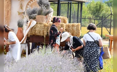 Fethiye Belediyesi Başkan Yardımcısı Sabri Oğuz Bolelli: “Yeşilüzümlü’de aromatik bitkilerin artmasını sağlayacağız”