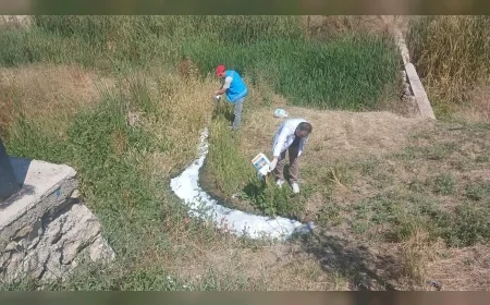 Kahramankazan Belediye Başkanı Selim Çırpanoğlu: “Halk sağlığını korumak için ilaçlama çalışmalarımızı aralıksız sürdürüyoruz”