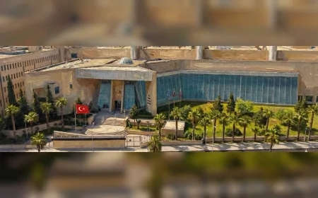 İzmir'de genç kızı bıçaklayıp telefonunu gasbettiği öne sürülen SSÇ hakkında yakalama kararı çıkarıldı