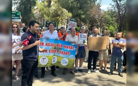 Konak Kent Konseyi ve Sağlık Meslek Örgütlerinden İzmir Dr. Suat Seren Hastanesi Bahçesindeki Ağaç Kesimi Kararına Tepki
