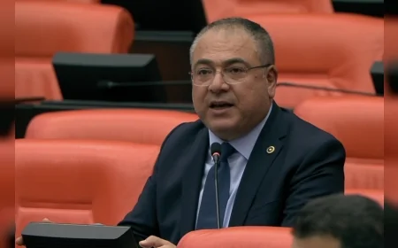 CHP Aydın Milletvekili Evrim Karakoz: “Zeytin üreticisi zeytinini dalında bırakma noktasına geldi”