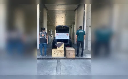 Ticaret Bakanlığı 4 CITES Kapsamındaki Yaban Hayvanını Edirne Hamzabeyli Gümrük Kapısı'nda Kaçakçılardan Kurtardı