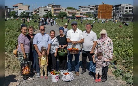 DOĞANLAR KENT BOSTANI'NDA HASAT HEYECANI