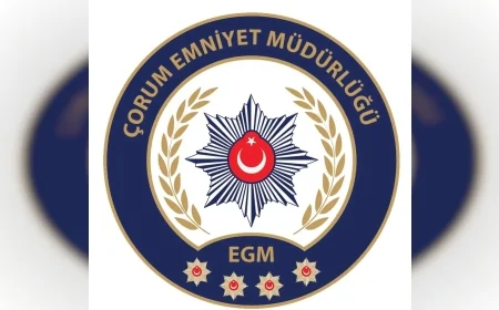 Çorum'da narkotik operasyonunda 20 bin 160 sentetik ecza ele geçirildi, 1 şüpheli tutuklandı