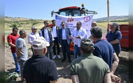 Ankara Büyükşehir Belediyesi domates güvesine karşı Türkiye’de ilk kez ücretsiz Akıllı Böcek Kiti uygulamasını başlattı