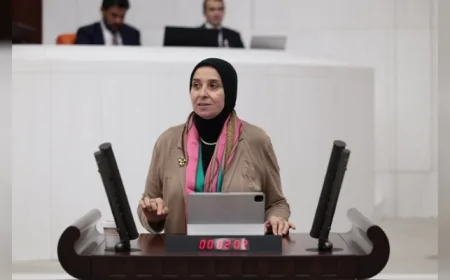 DEVA Partisi Genel Başkan Yardımcısı Elif Esen: “Millî çıkar, hukukun dışında hareket etmenin gerekçesi olamaz”