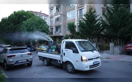 Maltepe Belediyesi Yaz Boyunca Sivrisinek ve Karasineğe Karşı İlaçlama Çalışmalarını Aralıksız Sürdürüyor