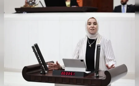 DEVA Partisi Genel Başkan Yardımcısı Elif Esen: “Vatandaş neden Kızılay'a değil de Ahbap'a güvendi”