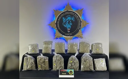 Çorum Emniyeti Osmancık'ta Düzenlediği Operasyonda 9 Kilo 429 Gram Skunk Ele Geçirdi