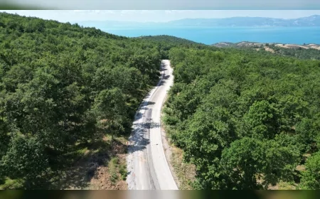 Bursa Büyükşehir Belediyesi Başkan Vekili Şahin Biba: “Ulaşımda güvenliği ve konforu artırma hedefiyle ekiplerimiz teyakkuz halinde dört koldan çalışıyor”