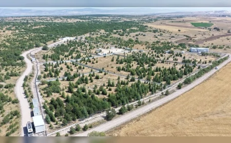 Eskişehir Büyükşehir Belediyesi, Kıravdan’da sahipsiz hayvanlar için doğal yaşam alanını büyütüyor