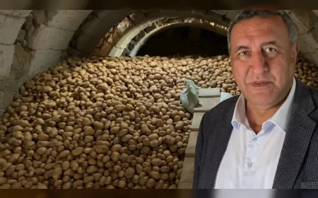 CHP Niğde Milletvekili Ömer Fethi Gürer: “Tarımda patates ve soğan pazarı dahi yönetilemedi”