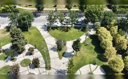 Beylikdüzü'nde Park Yapımı ve Yenileme Çalışmalarıyla Yeşil Alanlar Güçlenmeye Devam Ediyor