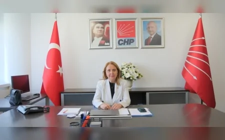CHP Genel Başkan Yardımcısı Semra Dinçer: “Çözüm Cezayı Arttırmak Değil, Suçu Doğuran Nedenleri Ortadan Kaldırmaktır”