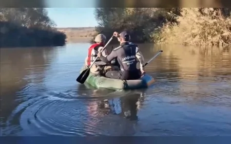 Diyarbakır'da yasa dışı kenevir ekimine yönelik operasyonlarda 387 bin 882 kök kenevir ve skunk ele geçirildi