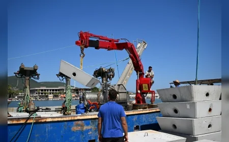 İzmir’de Yapay Resif Projesi: Denizel Biyoçeşitliliği Güçlendirmek İçin Ahtapot Resifleri Deniz Tabanına Bırakıldı