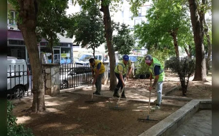 Aydın Büyükşehir Belediye Başkanı Özlem Çerçioğlu'nun çalışmalarıyla Efeler'deki Gençlik Parkı yenilendi