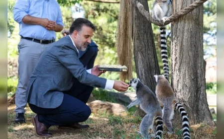 Bursa Büyükşehir Belediyesi Başkan Vekili Şahin Biba, Hayvanat Bahçesi’nde incelemelerde bulundu
