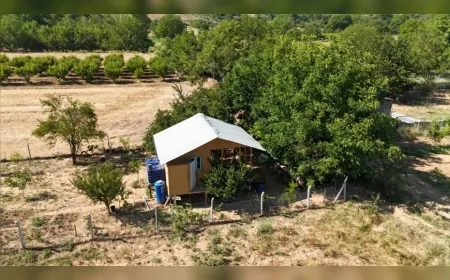 İnegöl Belediyesi Çitli Mahallesi’nde Tespit Edilen 16 Kaçak Yapının Kaldırıldığını Açıkladı