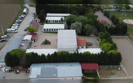 Tepebaşı Belediyesi Sokak Hayvanları İçin Şeffaf Takip Sistemiyle 15 Bin 119 Canı Sıcak Yuvaya Kavuşturdu