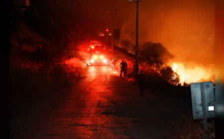 İzmir'in Bergama İlçesinde Orman Yangınına Yoğun Müdahale Yerleşim Alanları Koruma Altına Alındı