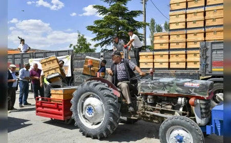 Ankara Büyükşehir Belediyesi arıcılara yüzde 50 hibeli 5 bin modern kovan desteğini 25 ilçede sürdürüyor