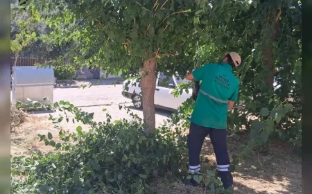 Efeler Belediyesi Mimar Sinan Mahallesi'ndeki Parklarda Kapsamlı Bakım Çalışmalarını Sürdürüyor