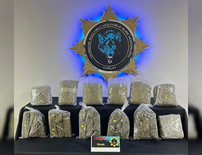 Çorum Emniyeti Osmancık'ta Düzenlediği Operasyonda 9 Kilo 429 Gram Skunk Ele Geçirdi