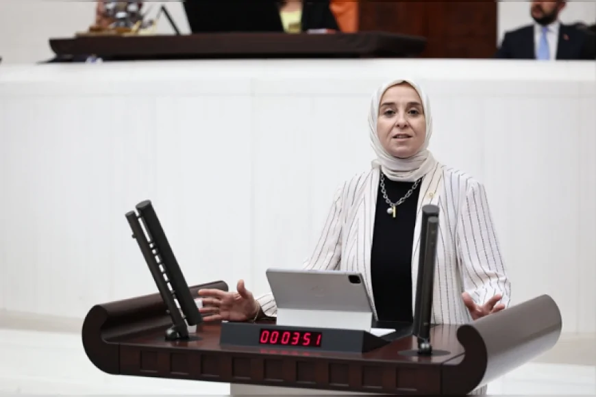 DEVA Partisi Genel Başkan Yardımcısı Elif Esen: “Vatandaş neden Kızılay'a değil de Ahbap'a güvendi”