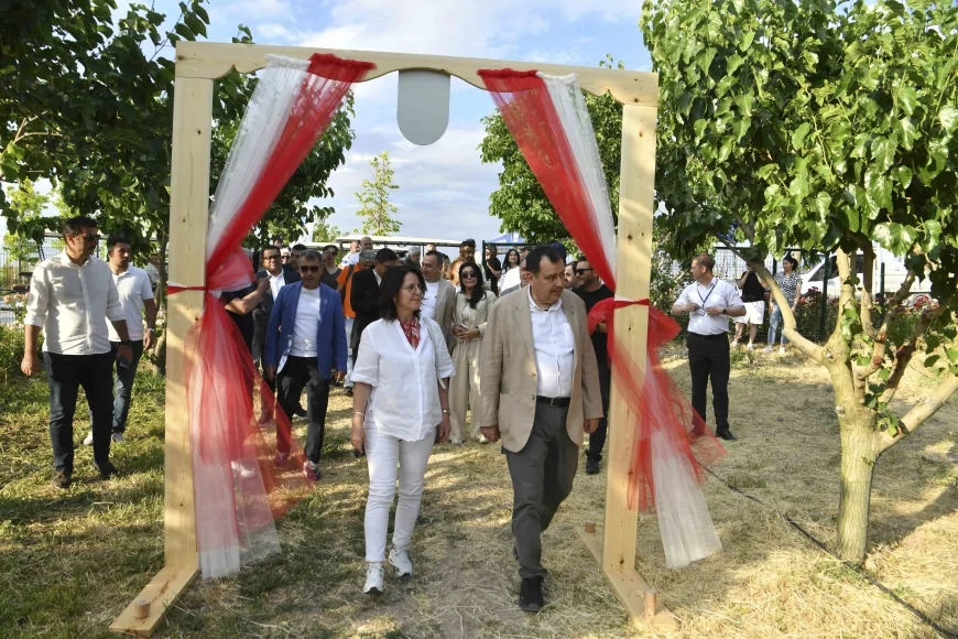 Ankara Büyükşehir Belediyesi ATA Çiftliği’nde büyükelçiler ilk dut hasadına katıldı, tarım ve yeşil alan vizyonu tanıtıldı