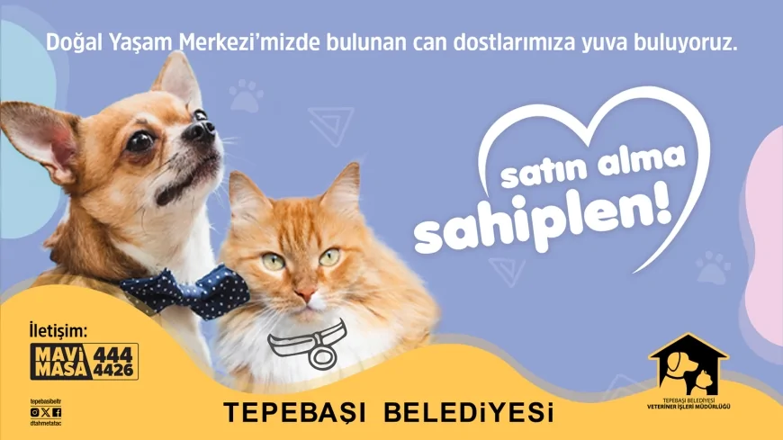 Tepebaşı Belediye Başkanı Dt. Ahmet Ataç: “Merkezimizi ziyaret eden herkes görecektir ki buradaki can dostlarımızın tek isteği, bir ailenin sıcaklığını hissedebilmek”